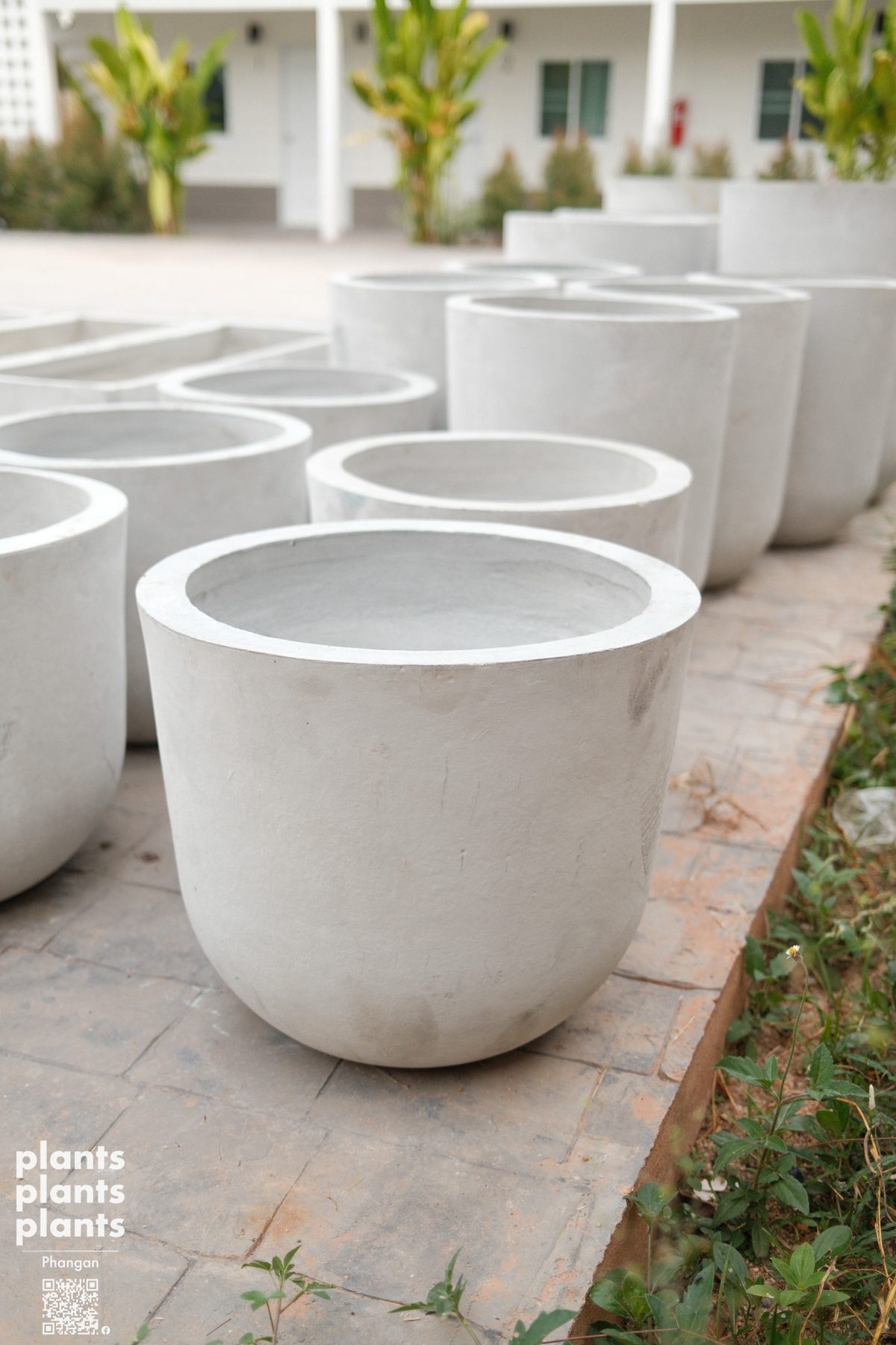 Capsule pot